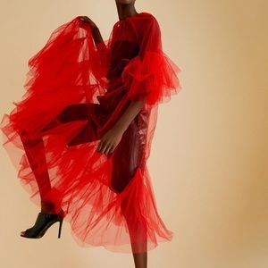 COPY - Kate Hewko sheer red dress